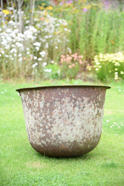 Antique Cast Iron Cauldron Boiler Planter