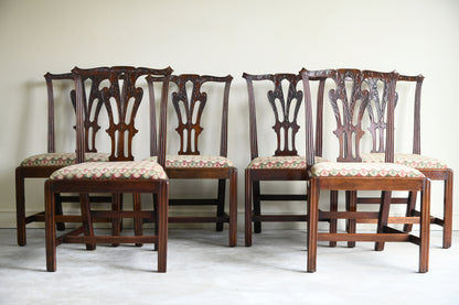 6 Mahogany Chippendale Style Dining Chairs