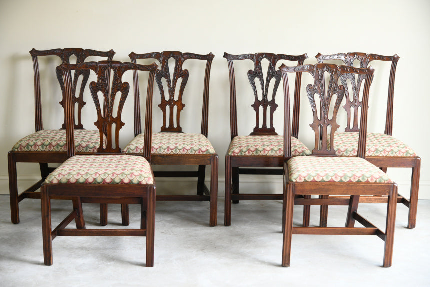6 Mahogany Chippendale Style Dining Chairs