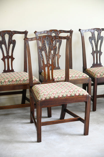 6 Mahogany Chippendale Style Dining Chairs