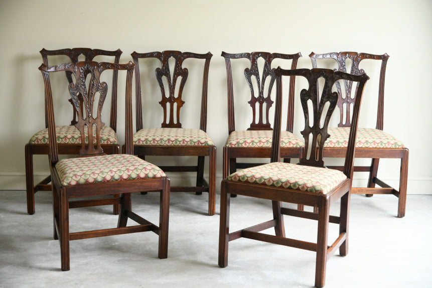 6 Mahogany Chippendale Style Dining Chairs