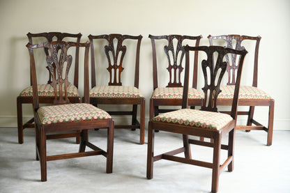 6 Mahogany Chippendale Style Dining Chairs