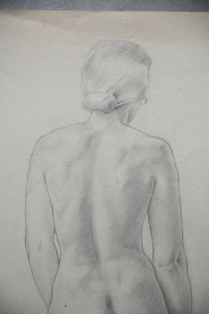 Standing Female Nude Drawing