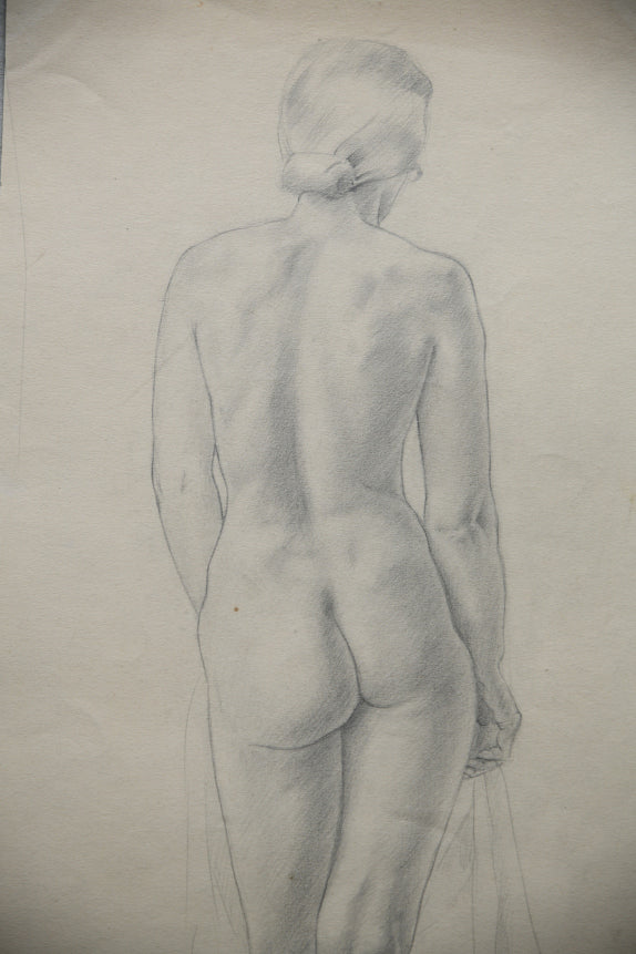 Standing Female Nude Drawing