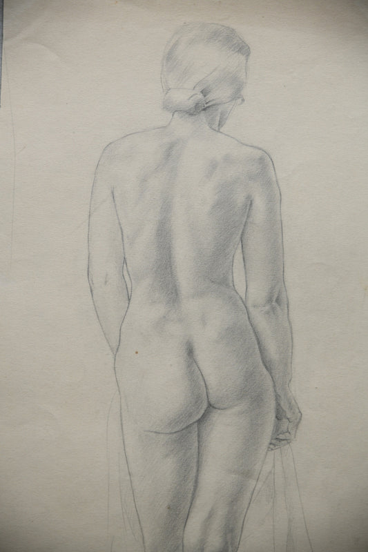 Standing Female Nude Drawing