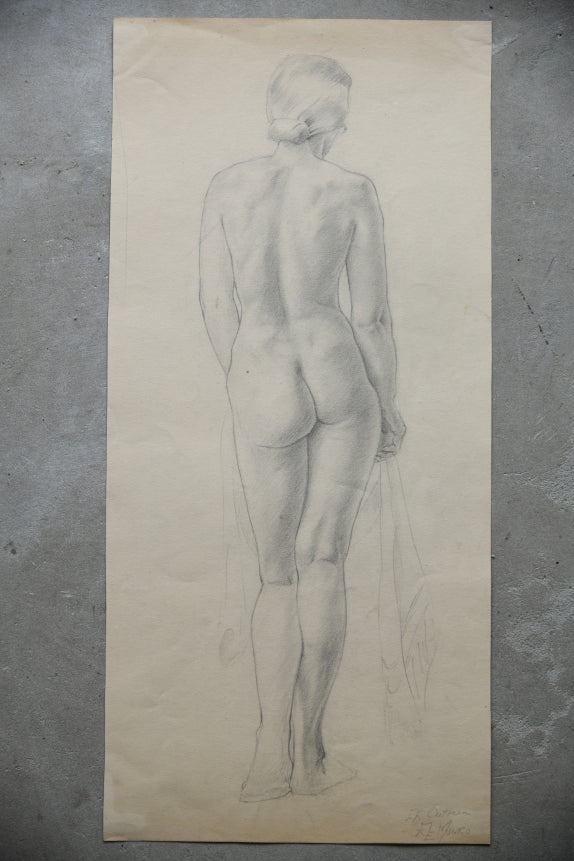 Standing Female Nude Drawing