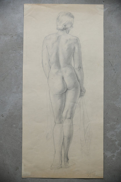 Standing Female Nude Drawing