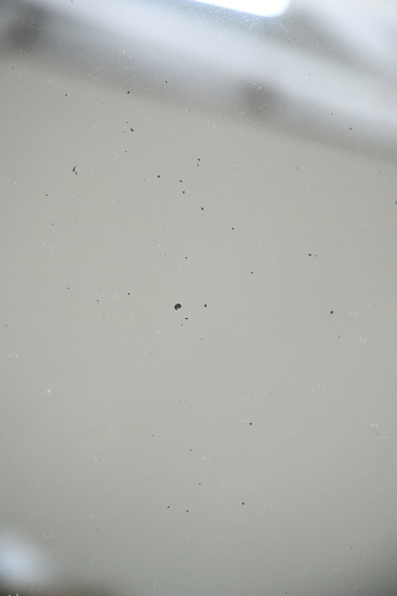 Faux Tortoiseshell Oval Wall Mirror