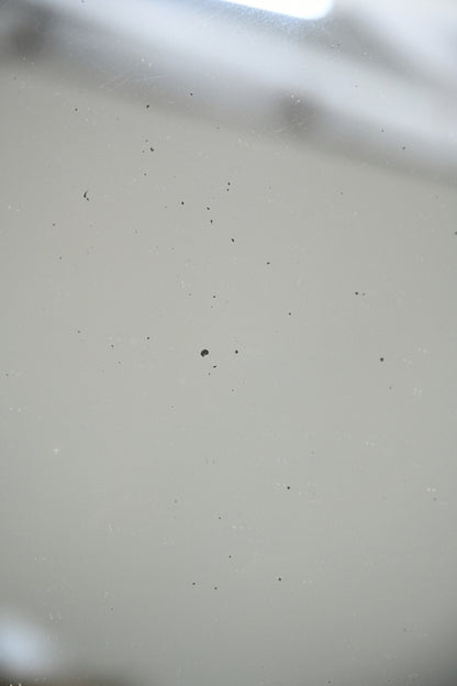 Faux Tortoiseshell Oval Wall Mirror