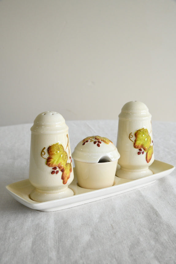 Vintage Carton Ware Cruet