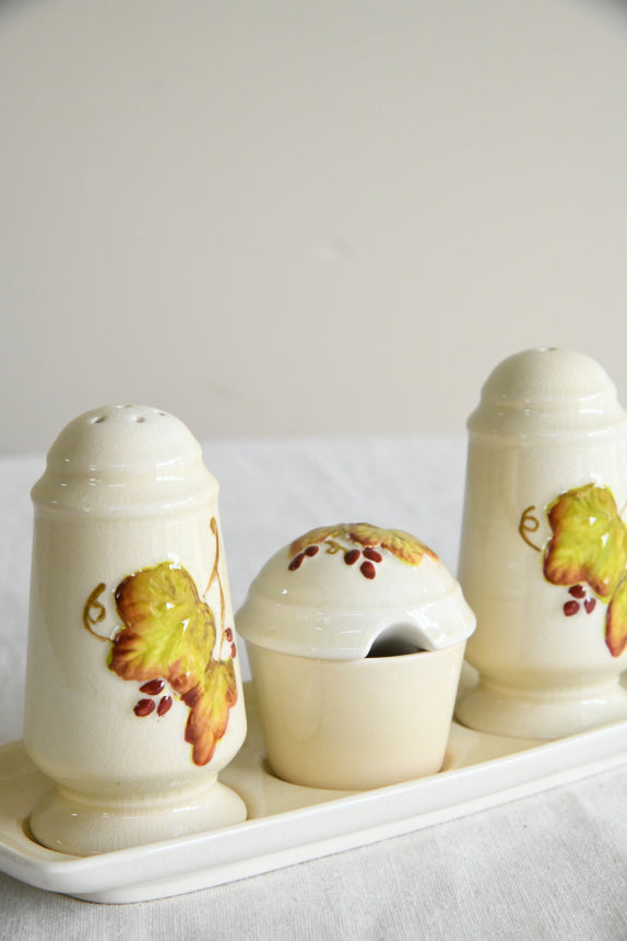 Vintage Carton Ware Cruet