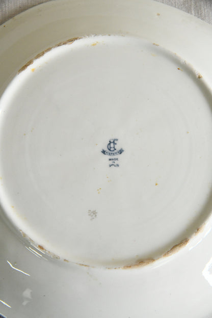 Vintage Majolica Fish Plate