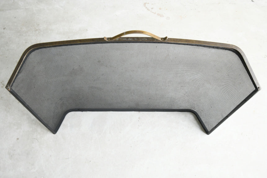 Black & Brass Mesh Fire Guard