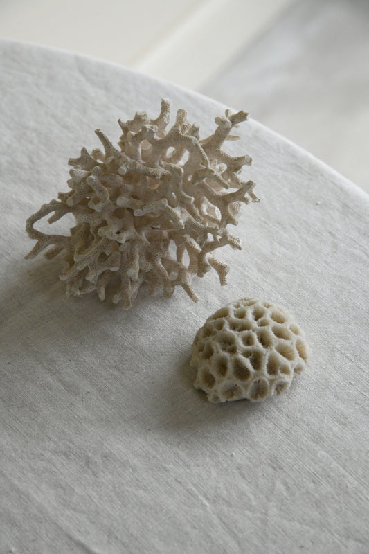 2 Pieces Vintage Coral