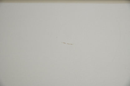 20th Century Large Coffee Table