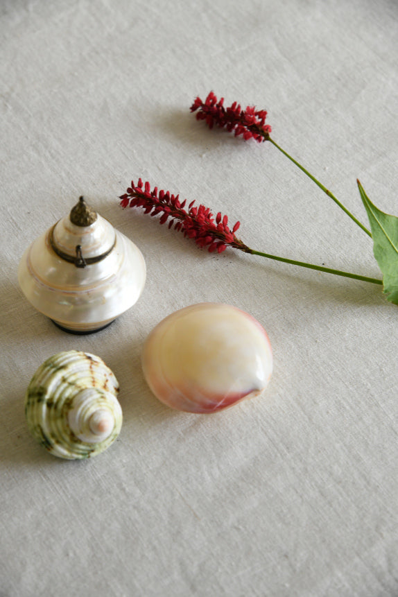 Vintage Shell Trinket Pot