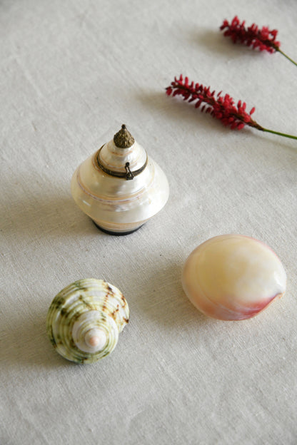 Vintage Shell Trinket Pot