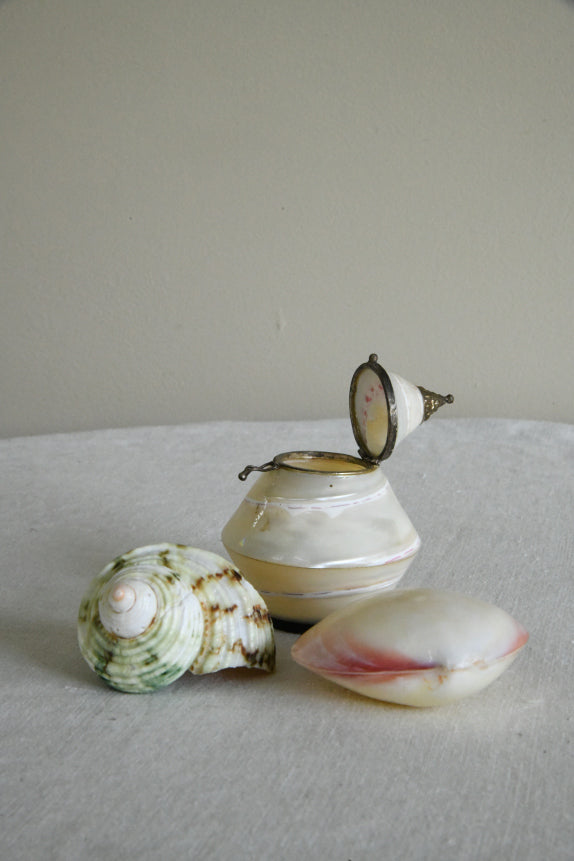 Vintage Shell Trinket Pot