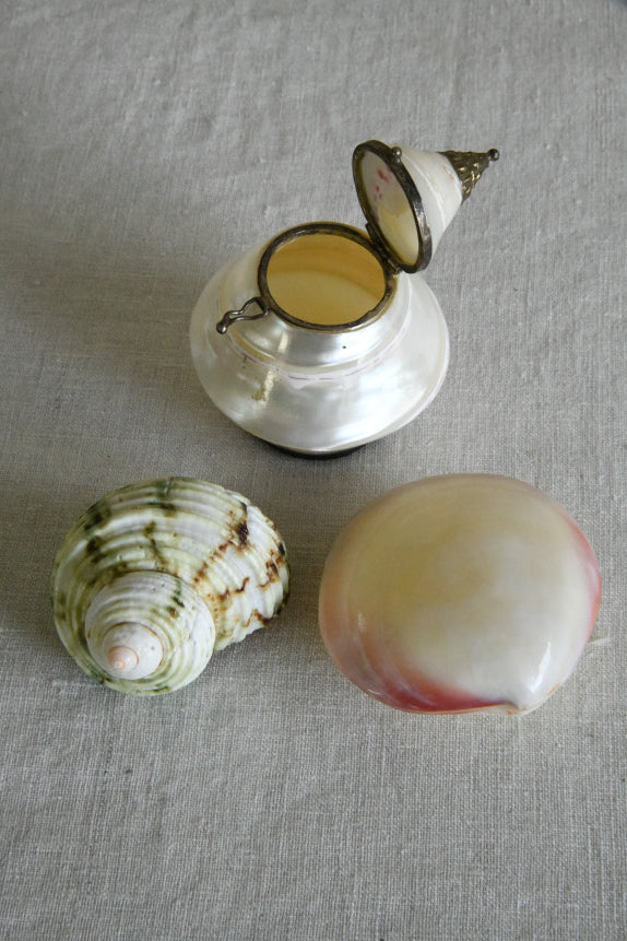 Vintage Shell Trinket Pot