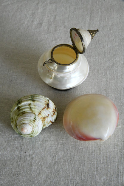 Vintage Shell Trinket Pot