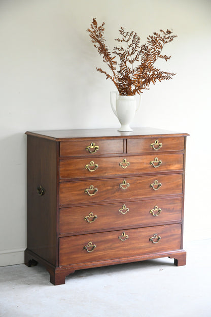 Georgian Mahogany Chest of Drawers