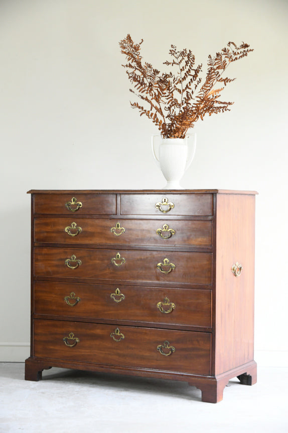 Georgian Mahogany Chest of Drawers