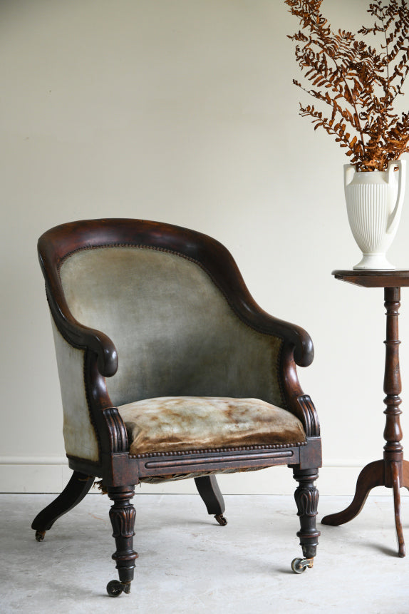 Antique 19th Century Mahogany Tub Chair