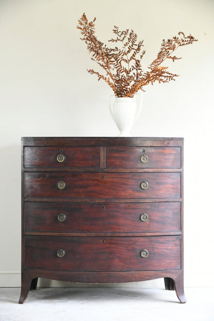 Antique Mahogany Bow Front Chest of Drawers