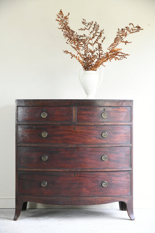 Antique Mahogany Bow Front Chest of Drawers