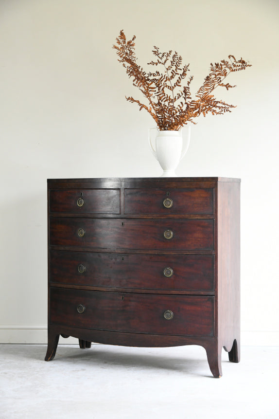 Antique Mahogany Bow Front Chest of Drawers