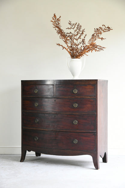 Antique Mahogany Bow Front Chest of Drawers