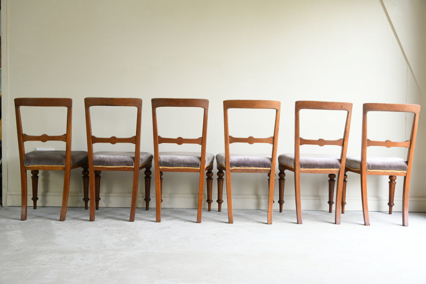 6 Victorian Oak Dining Chairs