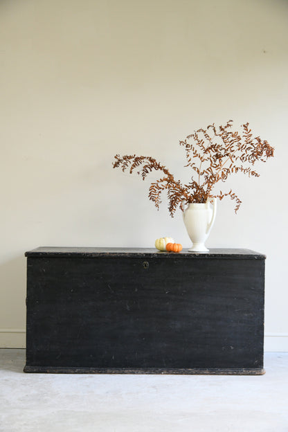 Antique Stained Pine Sea Chest