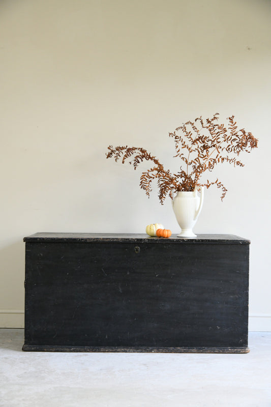 Antique Stained Pine Sea Chest