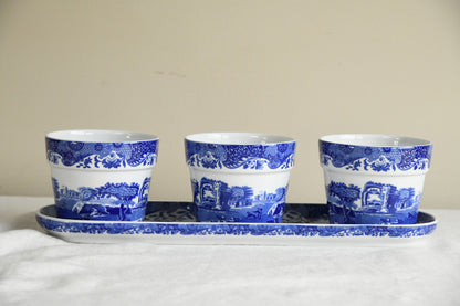 Spode Blue & White Herb Pots