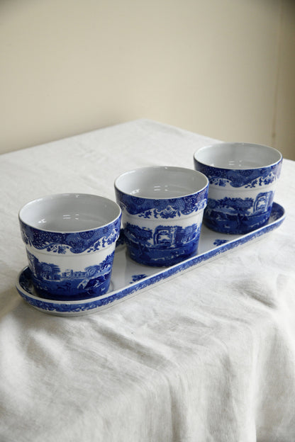 Spode Blue & White Herb Pots