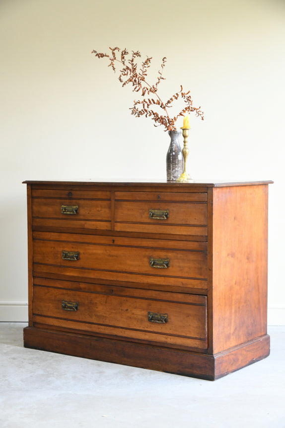 Jas Shoolbred Edwardian Walnut Chest of Drawers