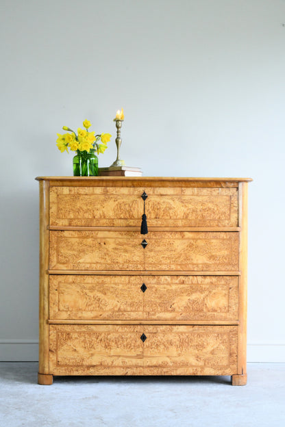 Antique Biedermeier Burr Birch Secretaire Chest