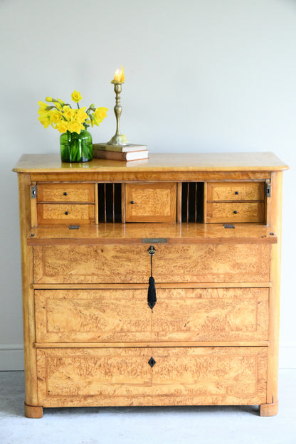 Antique Biedermeier Burr Birch Secretaire Chest
