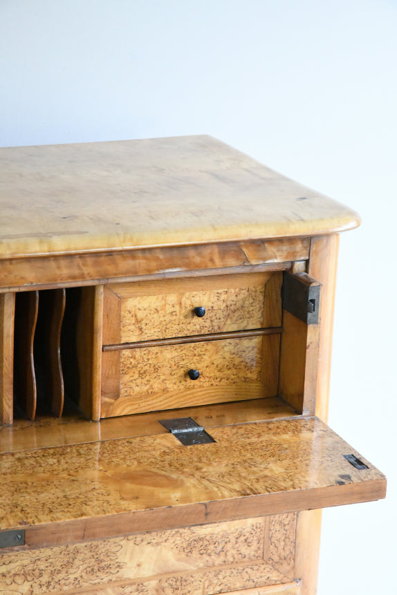 Antique Biedermeier Burr Birch Secretaire Chest