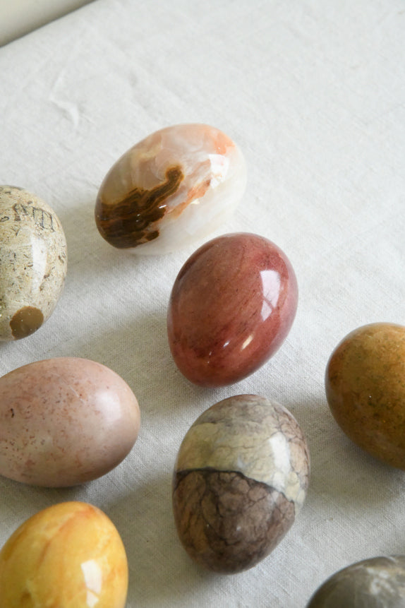 Collection Polished Stone Specimen Eggs