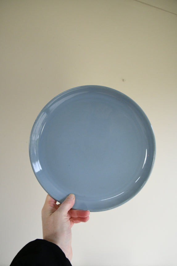 10 Vintage Denby Homestead Brown Dinner Plates