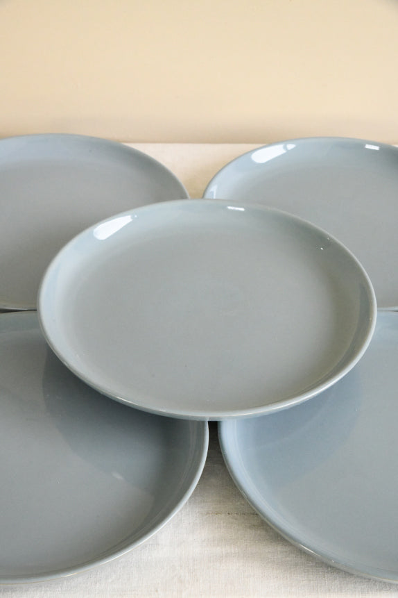 10 Vintage Denby Homestead Brown Dinner Plates