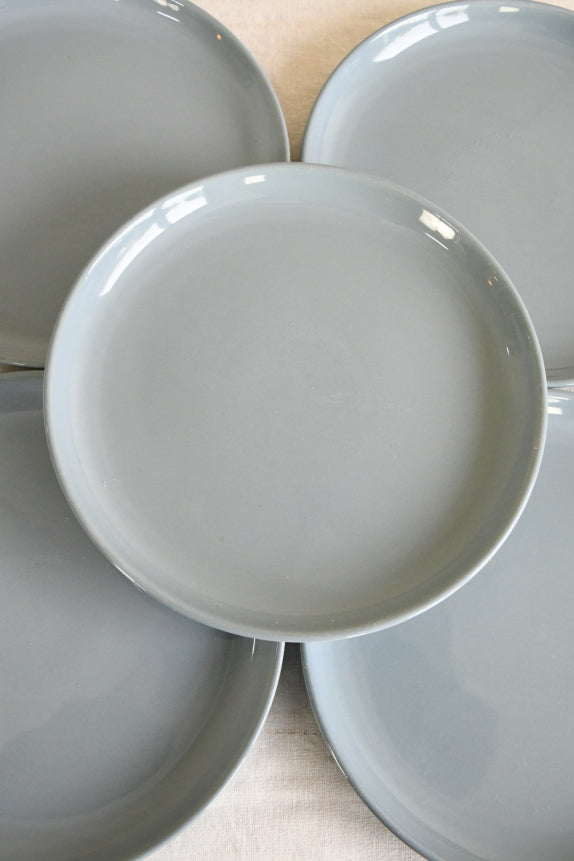 10 Vintage Denby Homestead Brown Dinner Plates