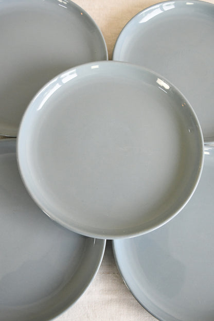 10 Vintage Denby Homestead Brown Dinner Plates