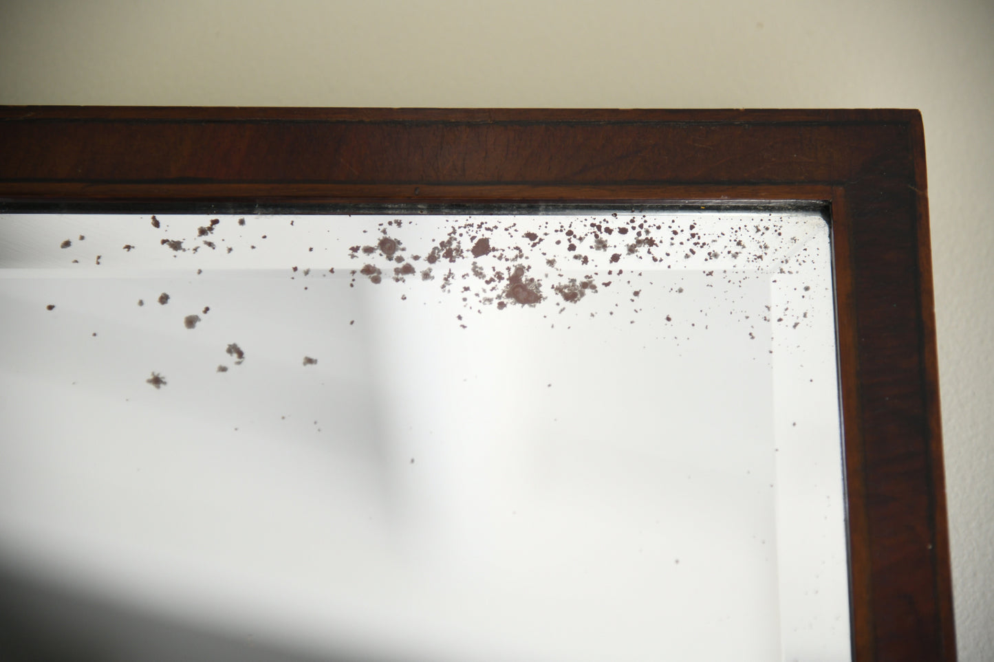 Antique Mahogany Wall Mirror