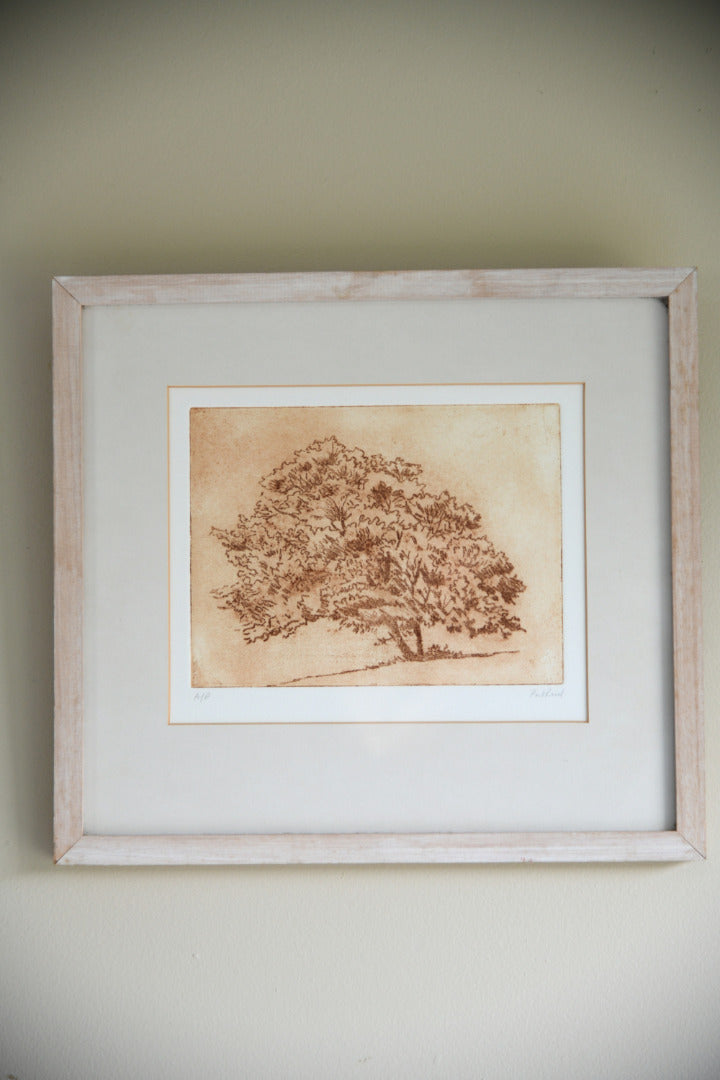 Pat Reid Single Tree Etching