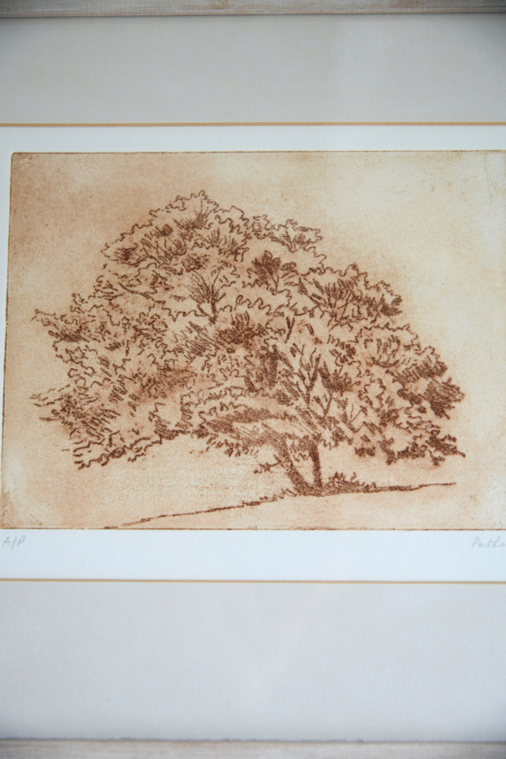 Pat Reid Single Tree Etching
