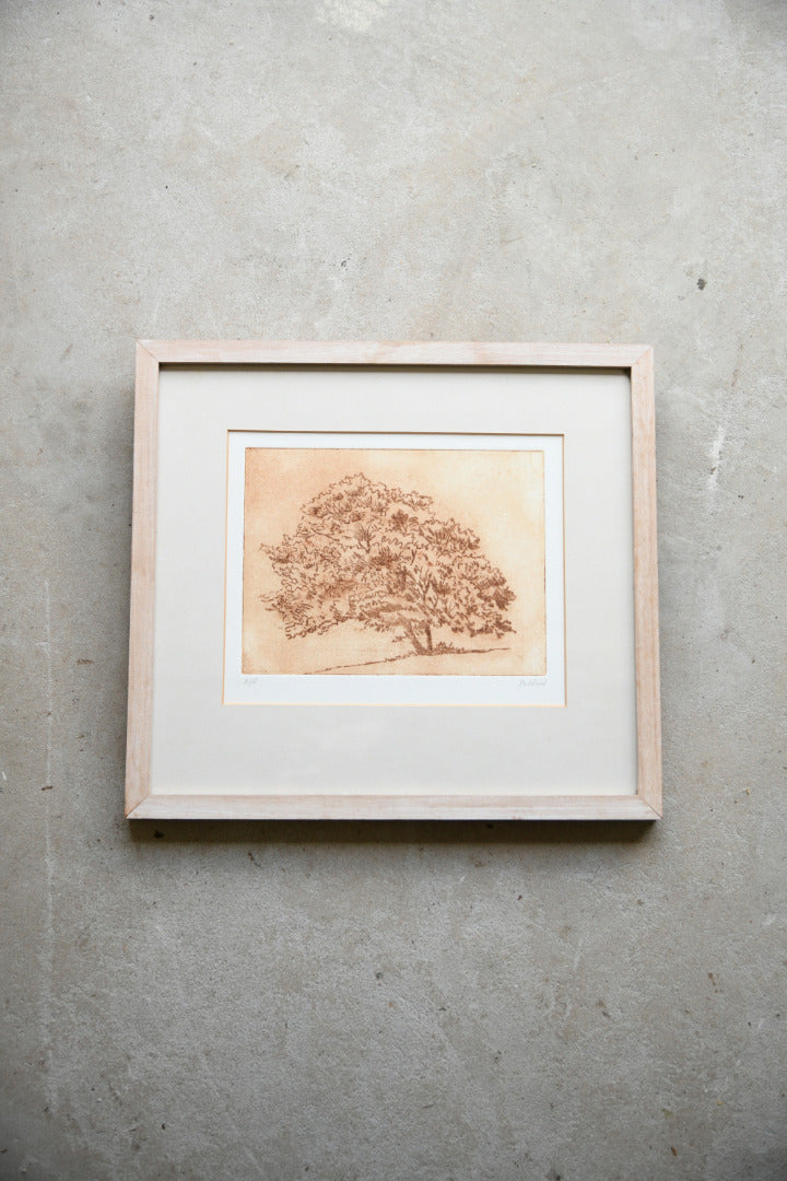 Pat Reid Single Tree Etching