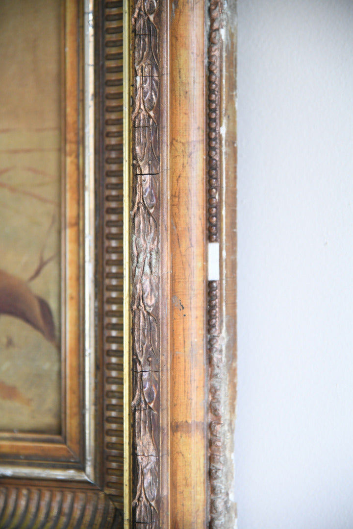 Still Life - Fruit & Pumpkin